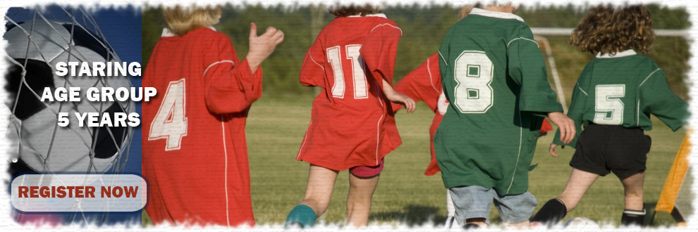 eagles banner 2b