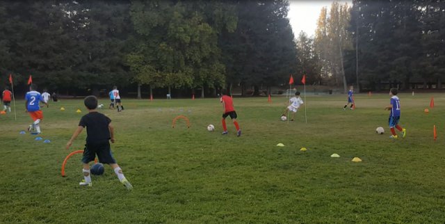 SV Eagles Training